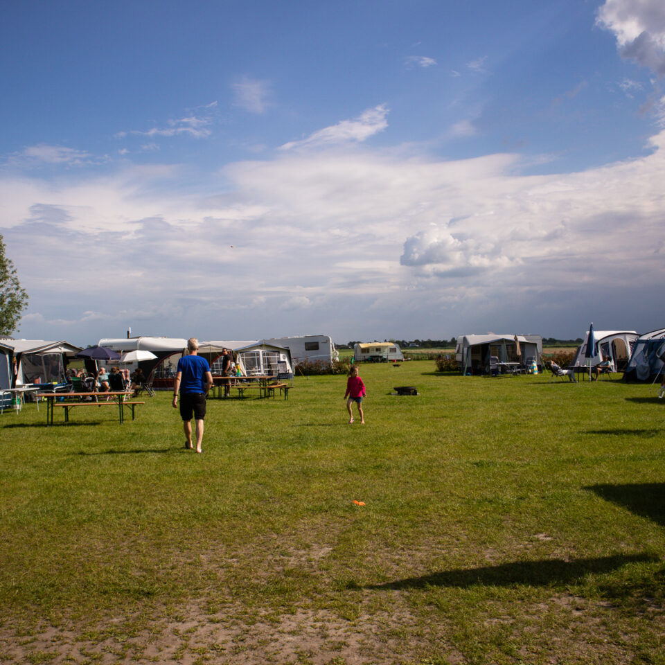 Veld 1 (1)
