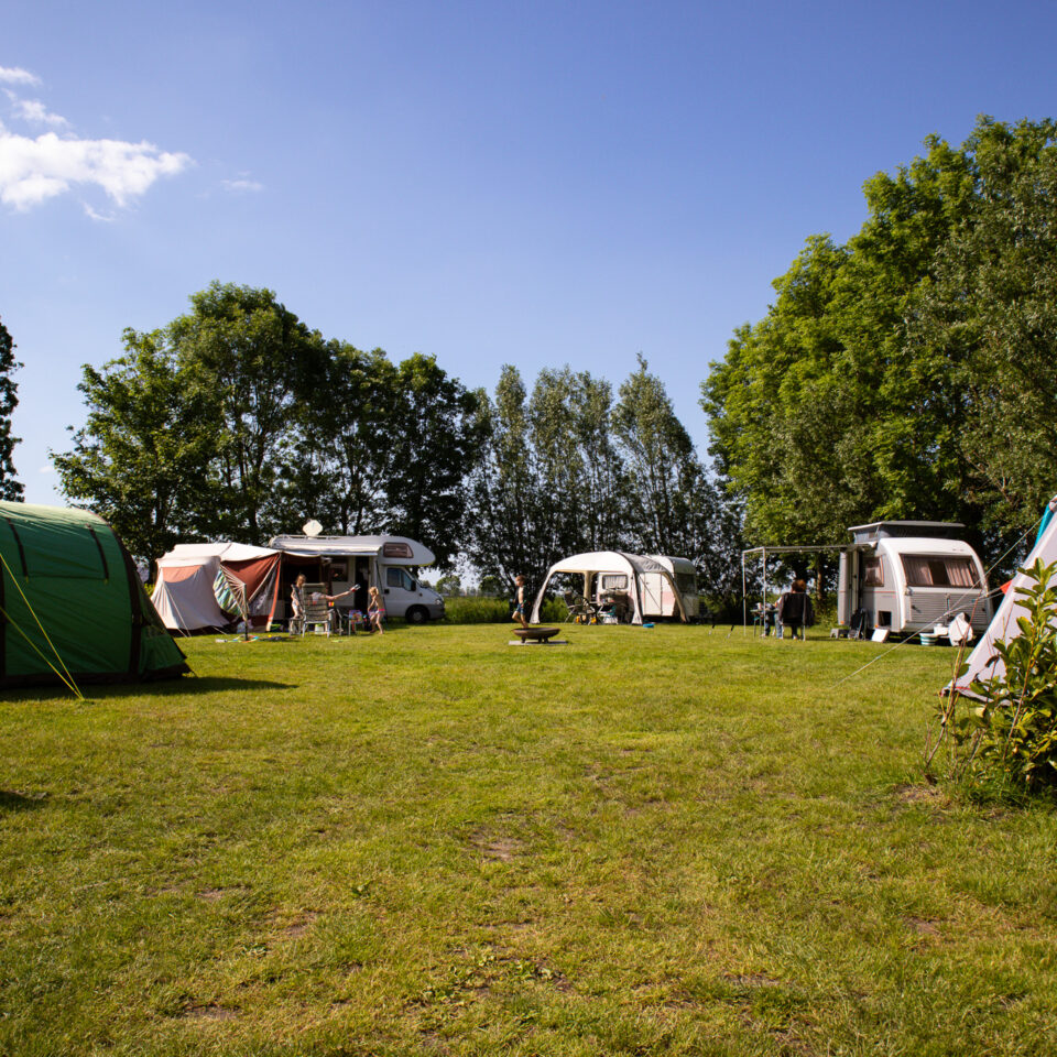 Veld 3 (1)