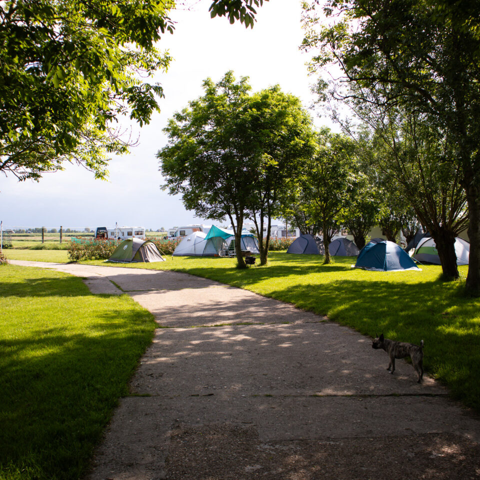 Vrije tentplaatsen